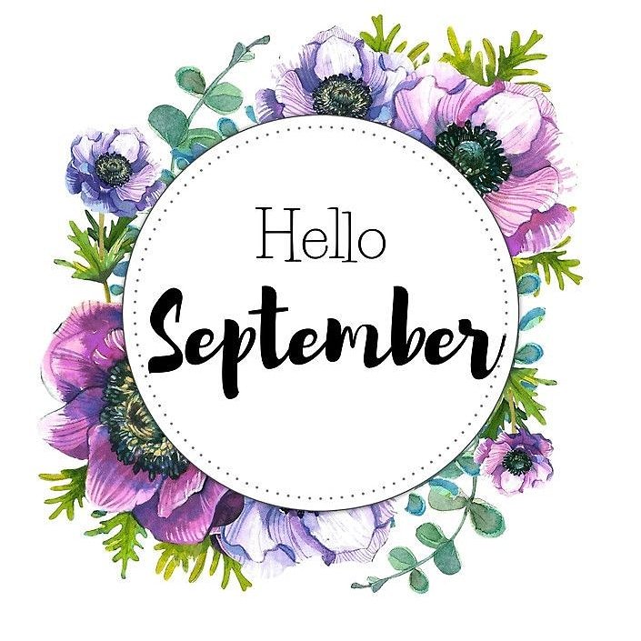 GnCSuppliers's tweet photo. Happy new month from us here at G&amp;C Suppliers. 
G&amp;C Suppliers "We Speak Beauty" https://t.co/sM7kWUYgk3