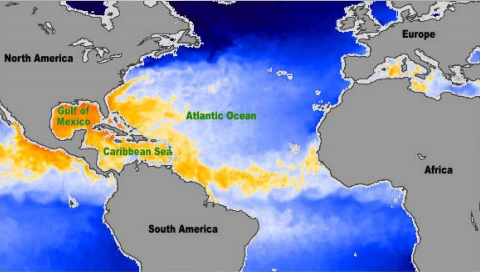 OtimMichael's tweet photo. Deforestation in Africa is creating the conditions for increasingly destructive hurricanes
.
.
.
or it's the revenge of the ancestors for the sin of slavery. https://t.co/klA8S2hWnA