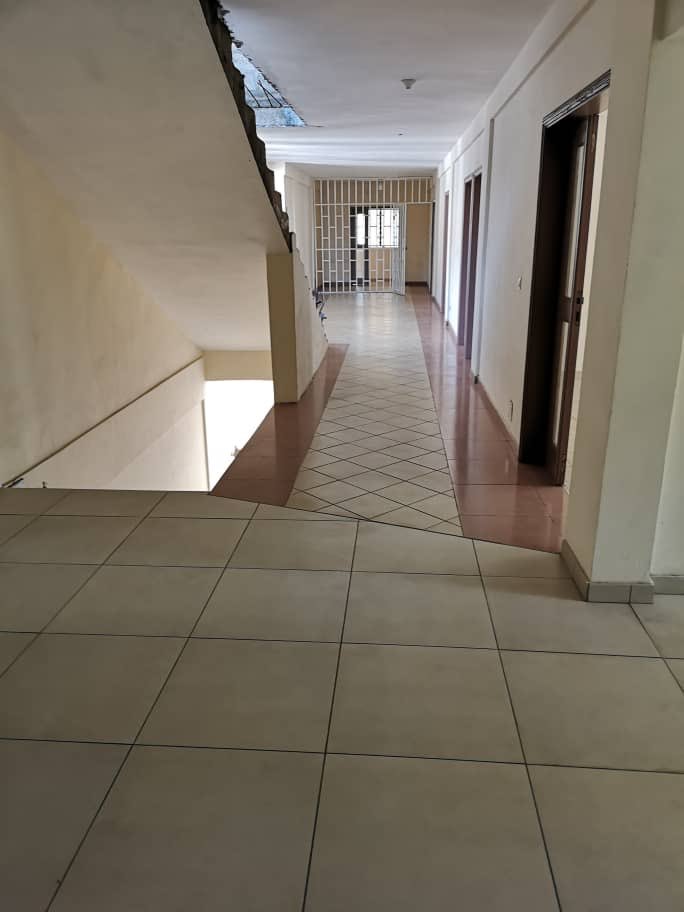 Assalablog's tweet photo. Ouverture de l’université de BISSEGUE PK8 « certains parlent d’autres agissent »
#RNS #NdongSima #Gabon #Team241 #Education #universitebissegue https://t.co/sUcJEvtUZg