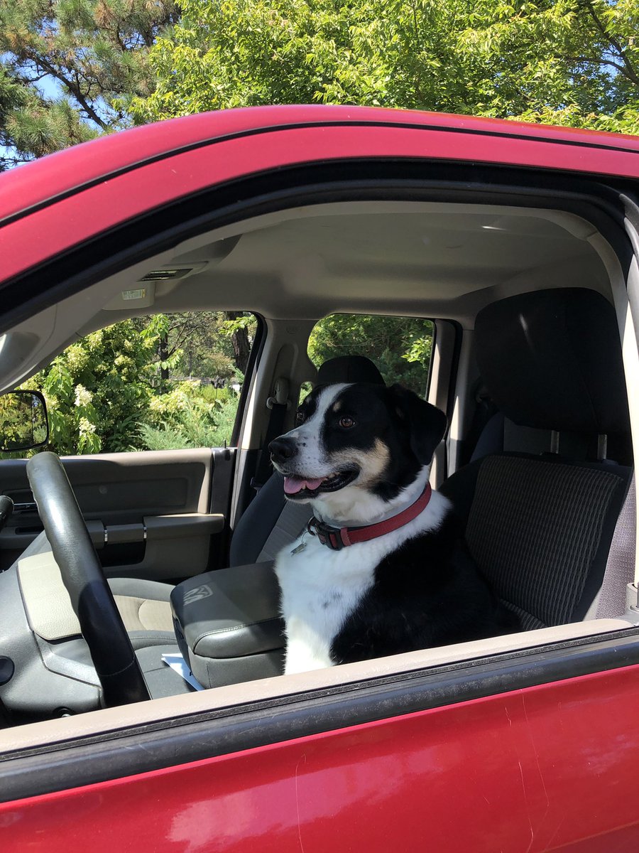 matthewhesss's tweet photo. i called an uber and this guy showed up 😳😳 https://t.co/coa8mrQzC6