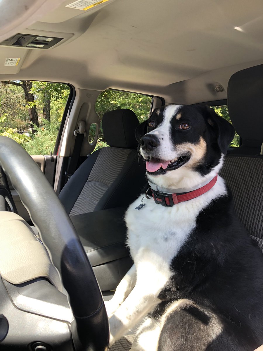 matthewhesss's tweet photo. i called an uber and this guy showed up 😳😳 https://t.co/coa8mrQzC6