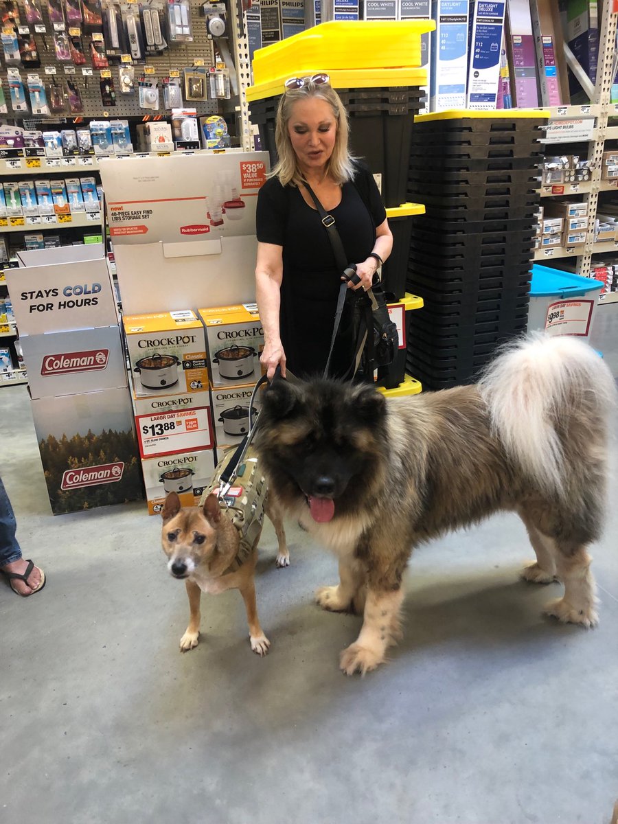 Some of our cutest customers #6940proud