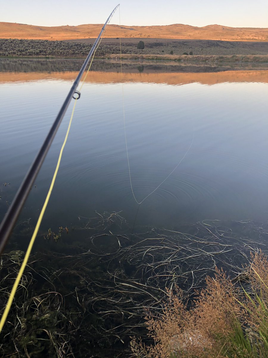 ChiefDave_RFD's tweet image. I think we can call the weekend a success. Quality time with my middle son who got his antelope and some fish. Time off the grid in Northern  Washoe #notburningman