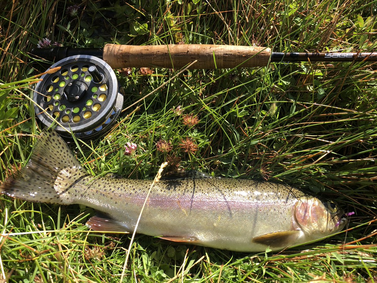ChiefDave_RFD's tweet image. I think we can call the weekend a success. Quality time with my middle son who got his antelope and some fish. Time off the grid in Northern  Washoe #notburningman