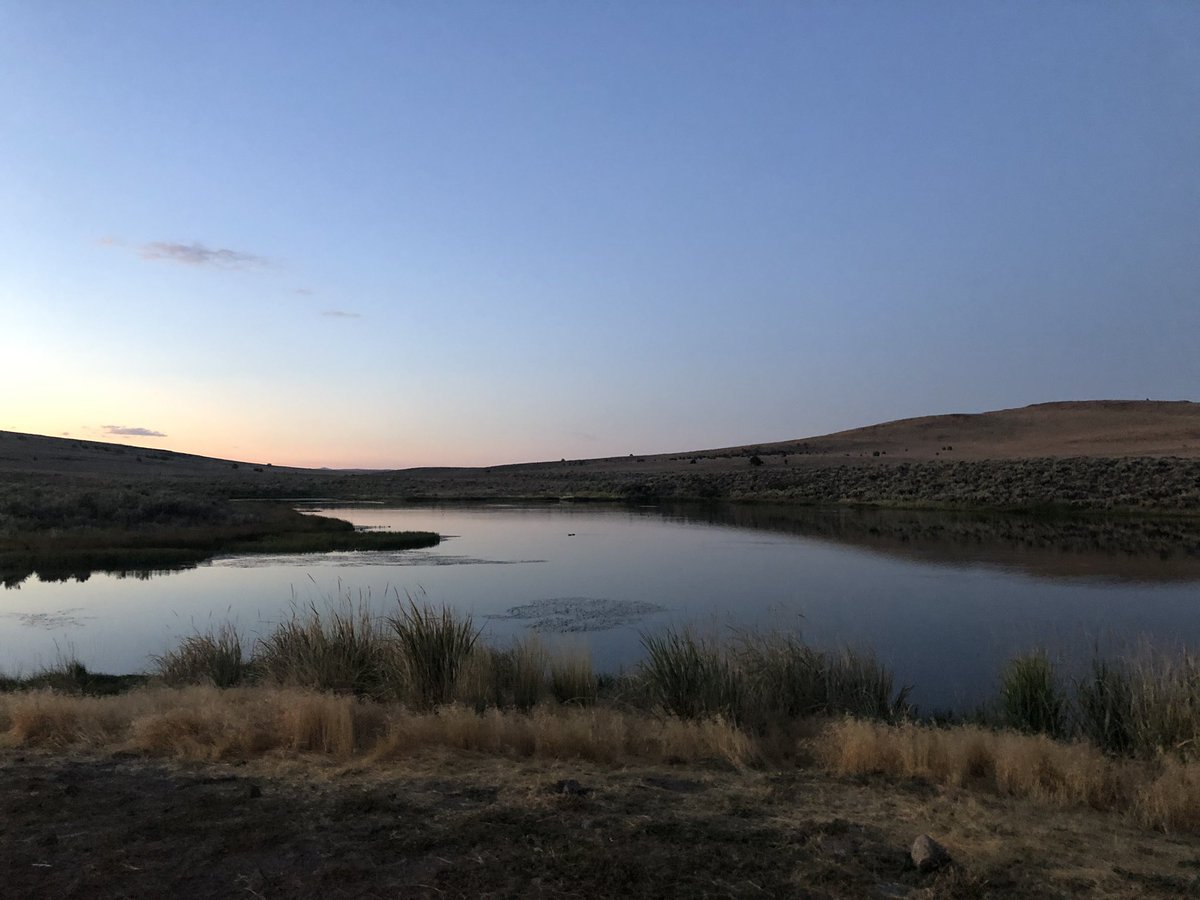 ChiefDave_RFD's tweet image. I think we can call the weekend a success. Quality time with my middle son who got his antelope and some fish. Time off the grid in Northern  Washoe #notburningman