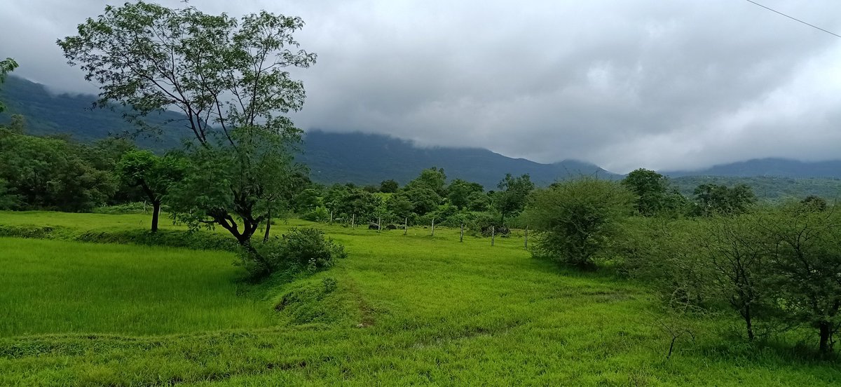 SupriyaPhutane's tweet photo. Beautiful #Hadshi near Pune 😍 #sundayevening https://t.co/8f53Rq8Lgh