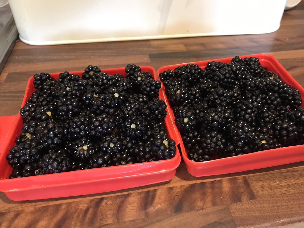 Fruits of the Comber Greenway.