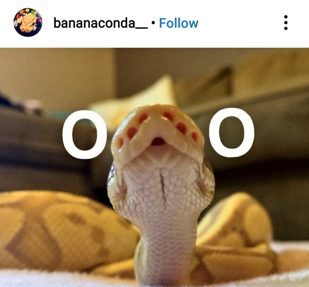 Chris Gilbert tweet media