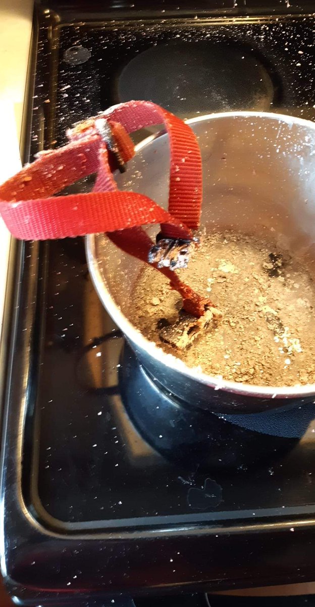 MimiProbably's tweet photo. Vet: "You need to disinfect his collar before you put it back on him after his bath."
Me, an hour ago: "I totally have this under control."
Narrator's voice: "She did not."
brb, gotta go out and buy a new collar. Now wondering how badly I'm gonna fuck up the bath... #PoorBoss https://t.co/ZnU5N3fJFo