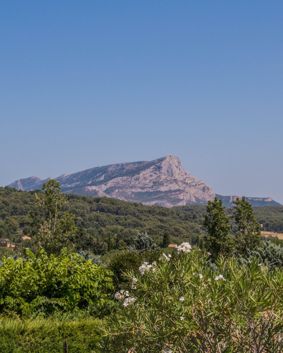 Smooth Move Removals tweet media