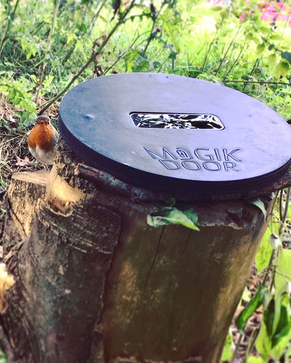 MagikDoor's tweet photo. This little guy is finding the @MagikDoor Minimorph very interesting at the Electric Picnic ‘Little Picnic’ - he hasn’t left all day!
#EP2019 https://t.co/jDoG01nL8X