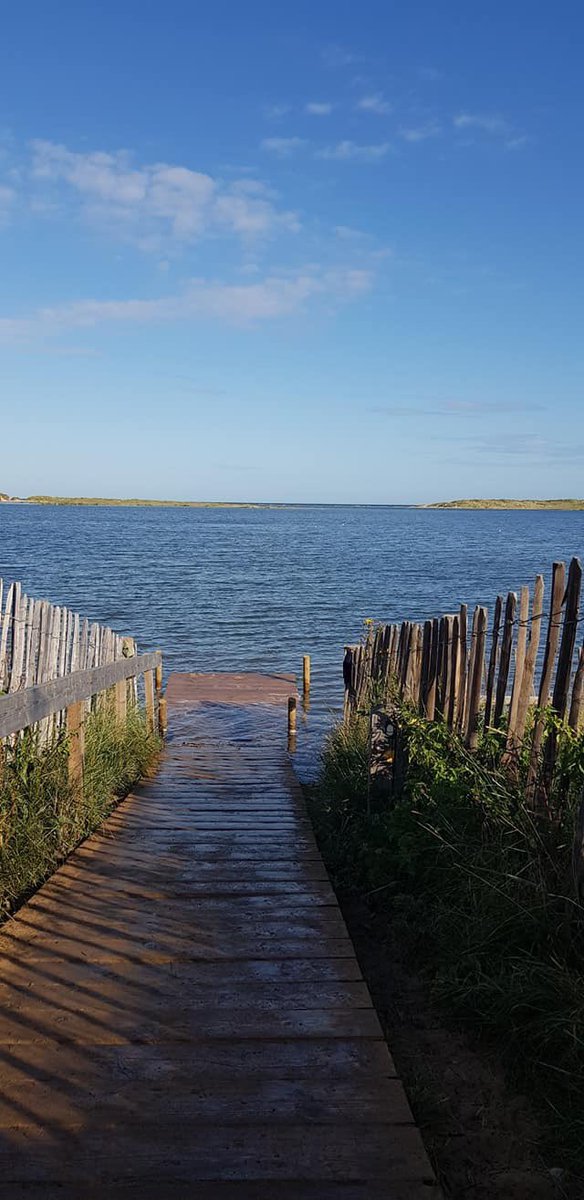 A very high tide this morning at Holkham!

📷 Angela Haynes