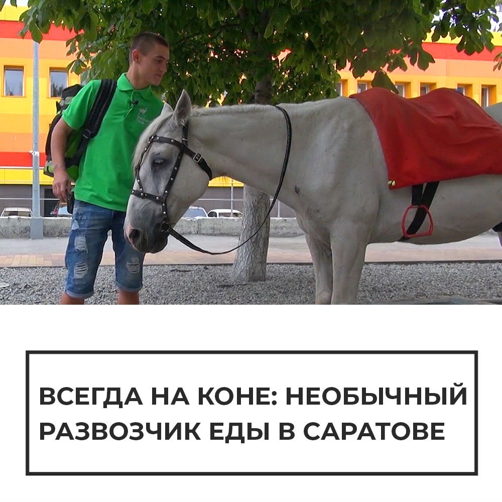 Реклама всегда на коне. Анекдоты про лошадей. Всегда на коне. Курьер на лошади.