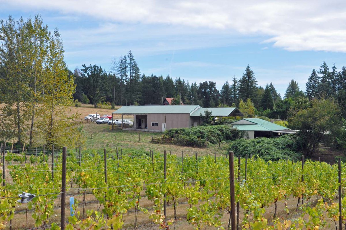 Day two of our Labor Day Weekend Food and Wine Pairing at Rezabek Vineyards -- 12-5 p.m. #SWWAWINE