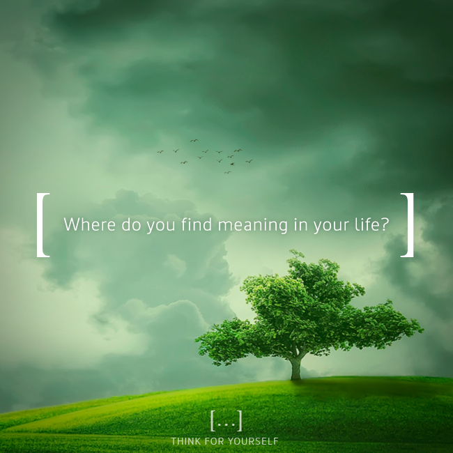 how+to+find+meaning+in+life+at+50