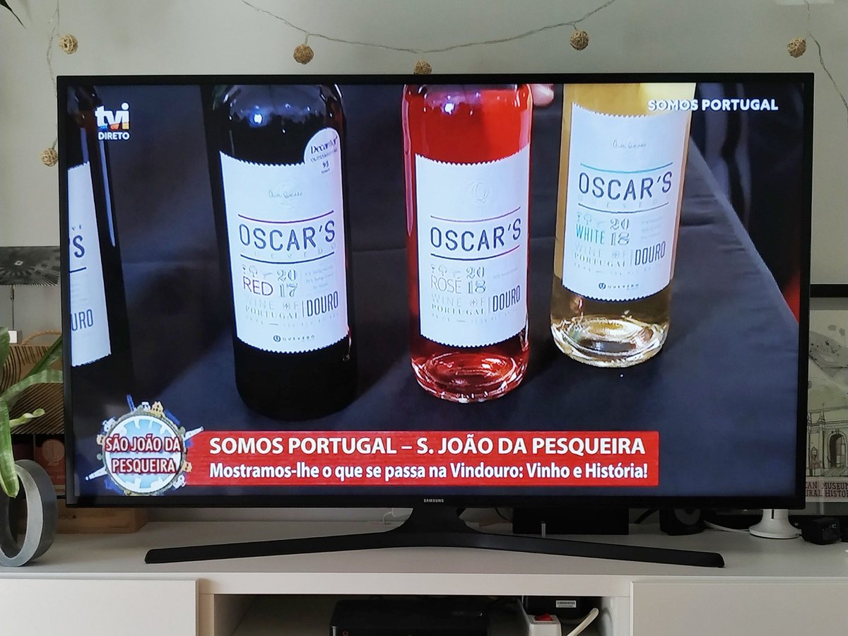 rafaela lucas tweet media