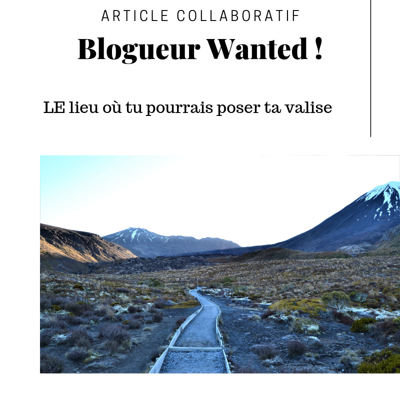 jenonroad's tweet photo. [Article Collaboratif - A la recherche de Blogueurs]

Thème : Le lieu où tu pourrais poser tes valises
Deadline : 1er Octobre

pour plus d'infos : https://t.co/7Nqbd44Qzy

Qui est partant ?? :) 

#travelblog #blogging #articlecollaboratif #blog #voyage https://t.co/GLK6fdTJpv