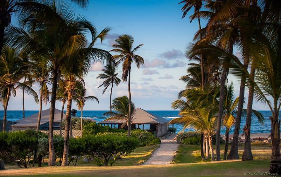 kayanjet's tweet photo. Your slice of paradise awaits.
Nisbet Plantation on the Island of Nevis.
Pc: Tina Thuell Photography
・
・
#stkitts #kayanjet #caribbean #luxury #luxurytravel #luxuryliving #luxurystyle #luxurylifestyle #lifestyle #vacation #privatejet #commercialflights https://t.co/vfsD808xK4