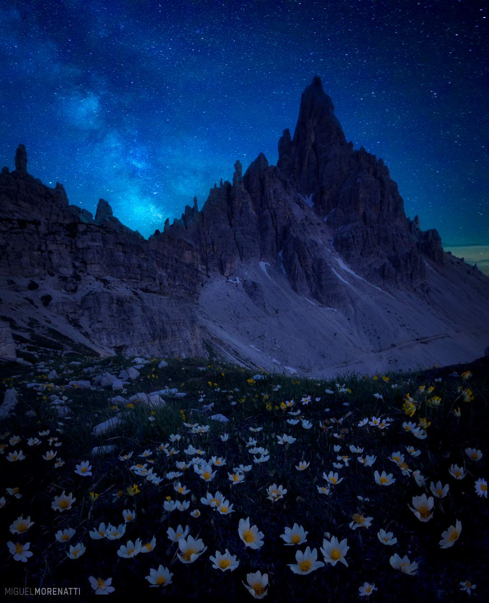 El jardín de los sueños.
-Aquí arriba (2.800m) gran parte de año está todo cubierto de nieve. Cuando llega el verano, un manto de flores resurge del deshielo. 
-Dolomitas, Alpes italianos.

©MiguelMorenatti
Instagram:
instagram.com/morenatti/?hl=…