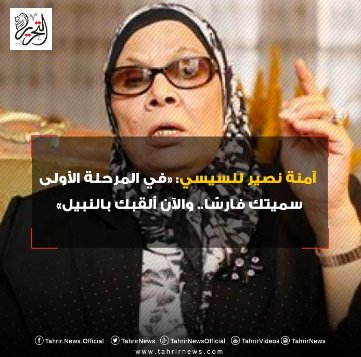 آمنة نصير لـ السيسي: «في المرحلة الأولى سميتك فارسًا.. والآن ألقبك بالنبيل»