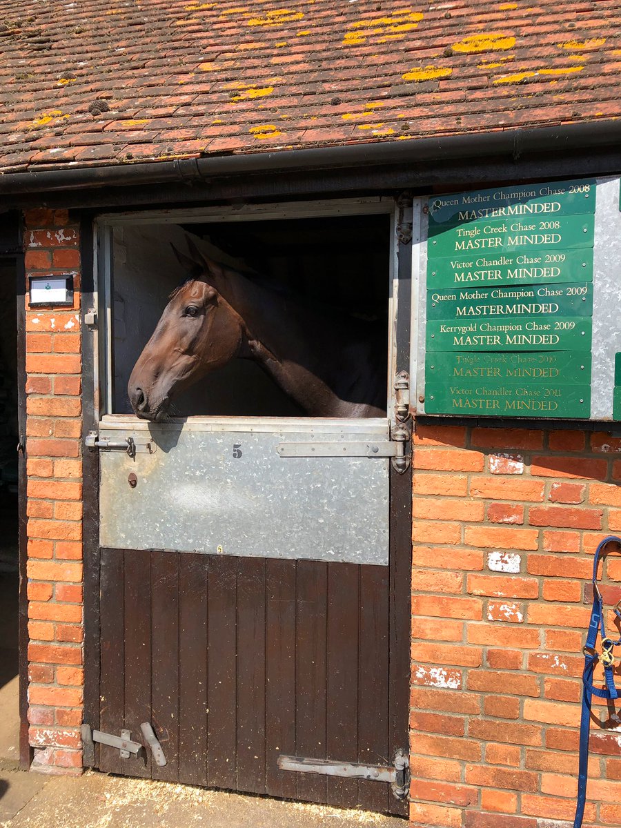 SamOwens_'s tweet photo. Had a great time @PFNicholls owners day! He’s definitely got some ammunition going into the new season, got to see some favourites too! #Politologue #ClanDesObeaux #Flemenstide #lovethejumps https://t.co/Bvc9JXS97F