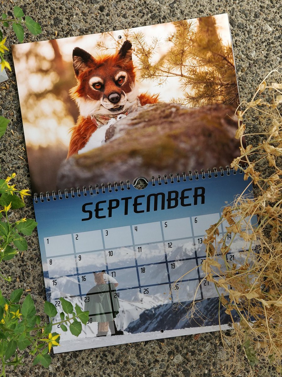 furcalendar's tweet photo. The road goes ever on and on, down from the door where it began. Now far ahead the road has gone, and I must follow, if I can. https://t.co/erdHNqPijv