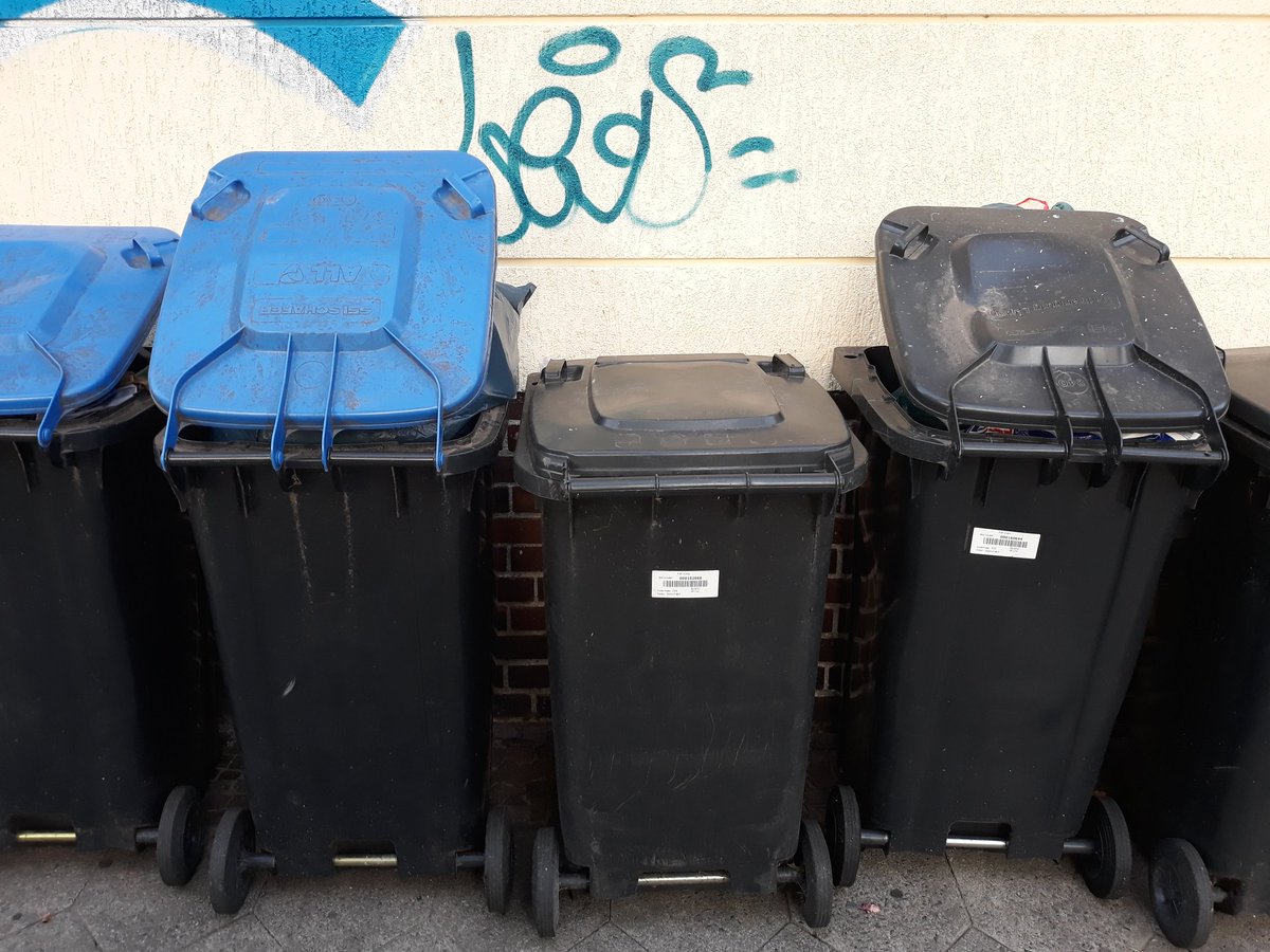 Schwarze Mülltonnen mit blauen und schwarzen Deckeln