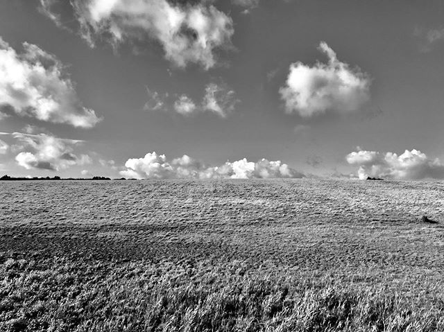 RichMonochrome's tweet photo. The Rolling Meadows of Westby-with-Plumptons #england #lancashire #documentingbritain #englishcountryside #windowsbackground #blackandwhitephotography #monochrome https://t.co/pbAeMC4FLG