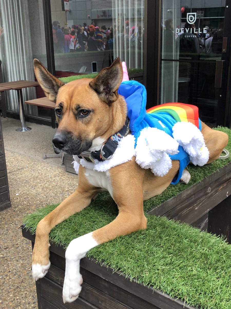 Honorary 3rd band member for our set today 😍