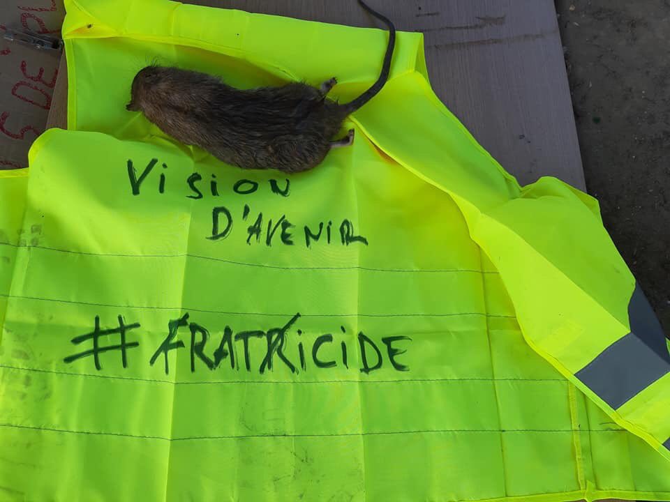 Gilets Jaunes Paris Acte57 в Twitter Répugnante