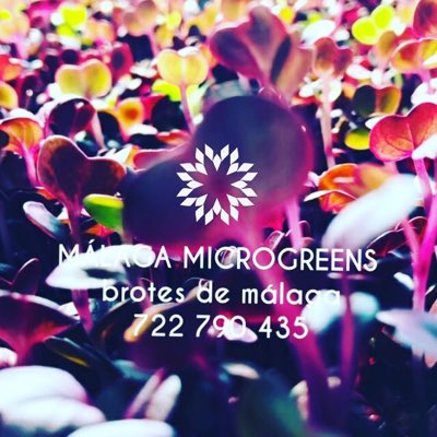 _ConsciousEarth's tweet photo. #NewProfilePic https://t.co/OmJjv7HfV2