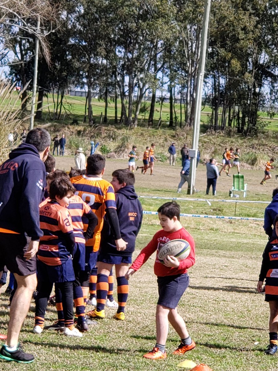 mpaschroeder's tweet photo. Panchito volvió feliz a las canchas. Excelente iniciativa de #mixabilityrugby de @mvccuy. Iniciativas que nacen de la generosidad y ganas de hacer el mundo más grande, sin barreras. https://t.co/uGR3Io8xoS