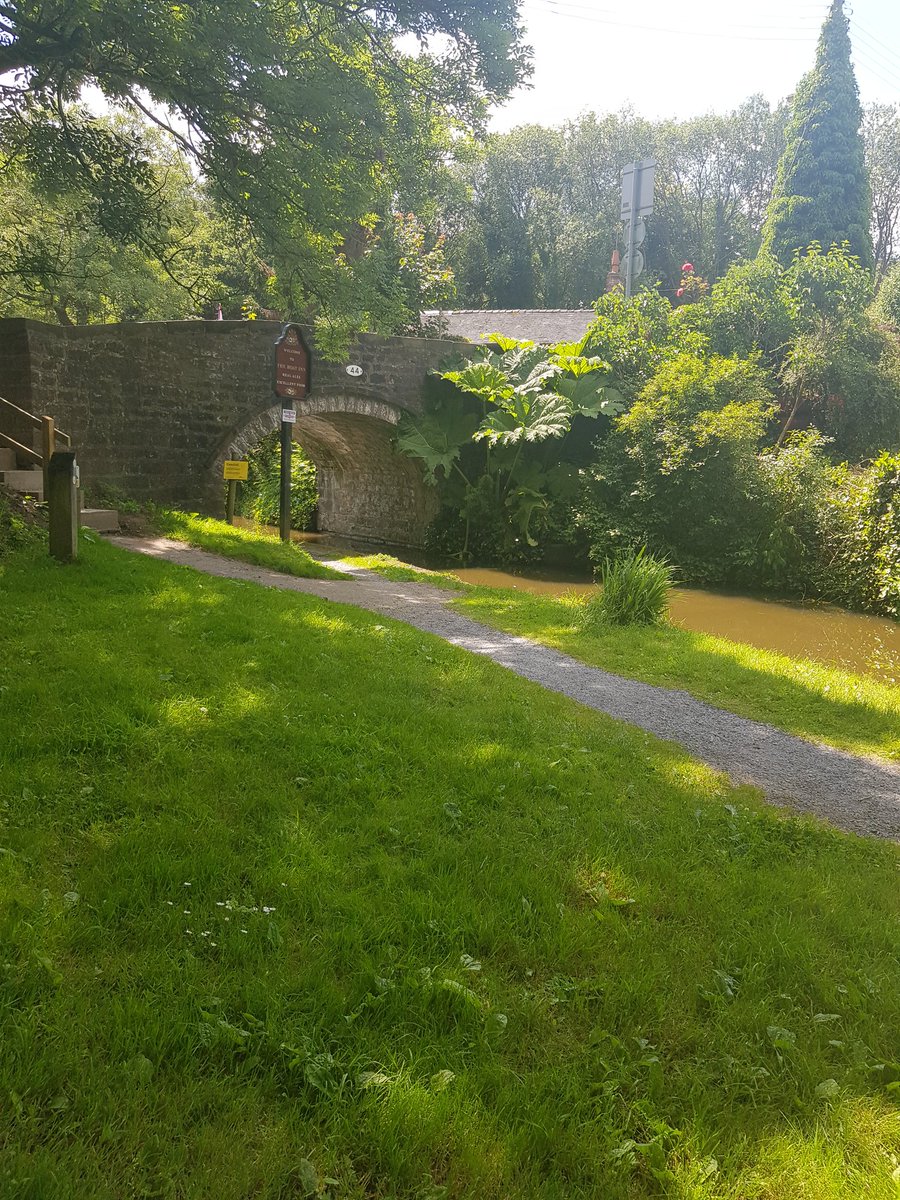 bikes_our's tweet photo. @CRTBoating Further photos https://t.co/xGIHwxxesY