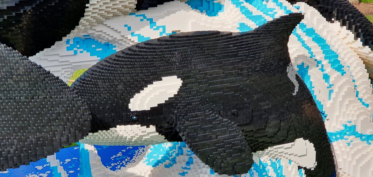TheatreTwittic's tweet photo. Sorting out my #Edinburgh photos.
Really enjoyed my day away from the fringe visiting #BrickLiveOcean at @EdinburghZoo
#Lego #Creative #DayOut #TravelPhotography https://t.co/8r8HTHCxOx