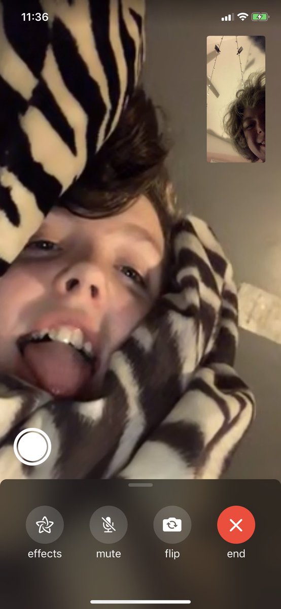 bonesorwhatever's tweet photo. happy birthday to my best friend. i cant believe i met you only a year ago and now you’re 14. you’re so amazing and i love you so much you dork. thank you for sticking around with me no matter what. you’re one of the most amazing people that i know, you’re so smart and (1) https://t.co/FhzLhl092U