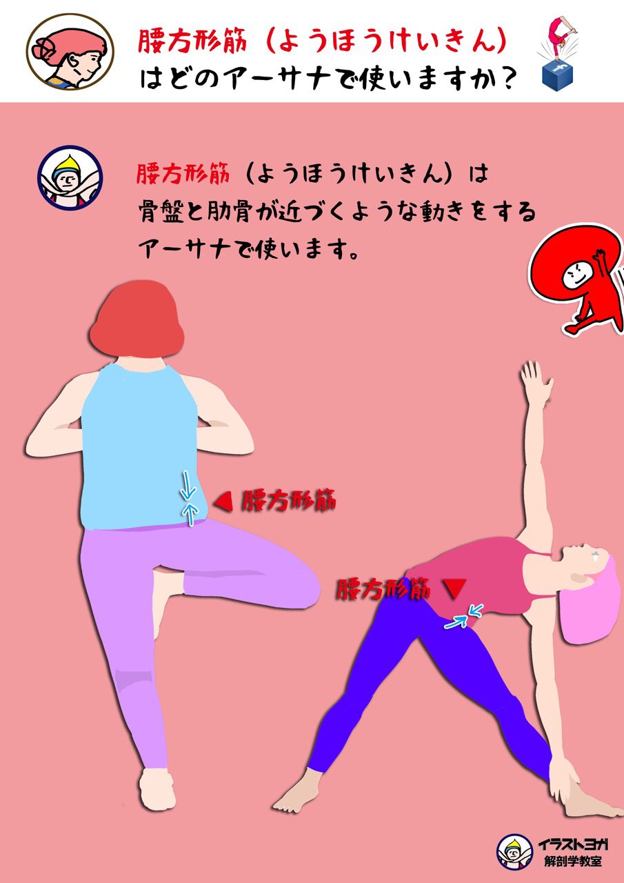 世界一ゆる い解剖学 腰方形筋 ようほうけいきん 4 腰方形筋はどの動きで使いますか 腰方形筋は骨盤と肋骨が近づくような動きで使います 解剖学 解剖学講座 イラスト解剖学 リアル解剖学 ヨガ ピラティス 腰方形筋 T Co