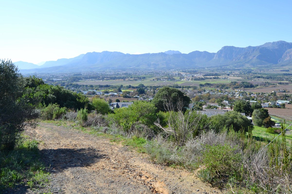 AQueenslin's tweet photo. Mountains as far as the eyes can see.👀Experience the beauty of the Cape Winelands. Visit https://t.co/7JPLOuJZ4u for bookings.🍃

#mountains #capewinelands #happymonday #mountainviews #spectacular #pictureworthy #stunningviews #adventurers #adventure #mountain #vineyards https://t.co/sgUaftsCTh