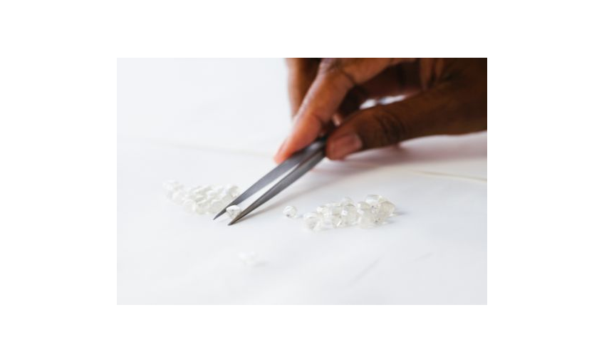 Shimmers & More tweet media