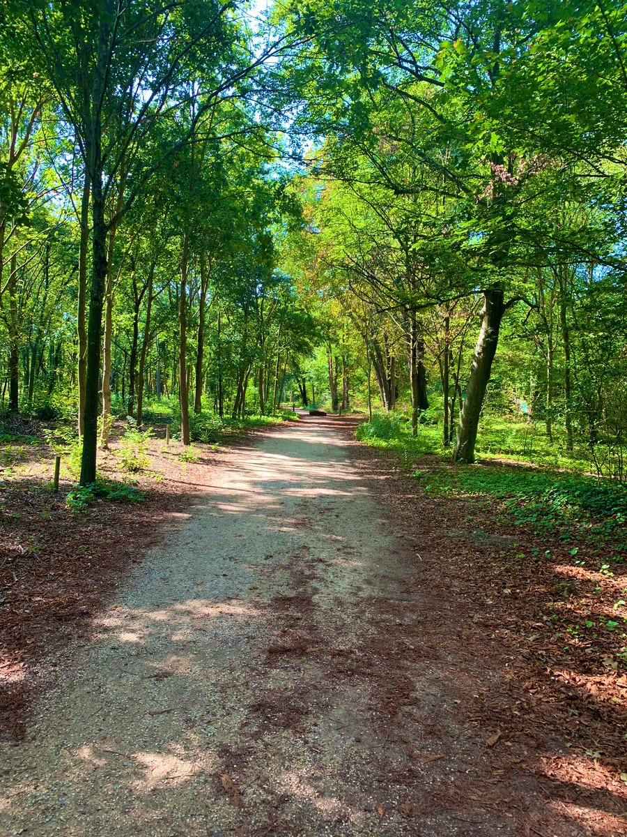 Runnicienta's tweet image. Si realmente pensáis que el medio ambiente es menos importante que la economía, intentad aguantar la respiración mientras contáis vuestro dinero.

#FelizLunes, runners. 👟👟🌲