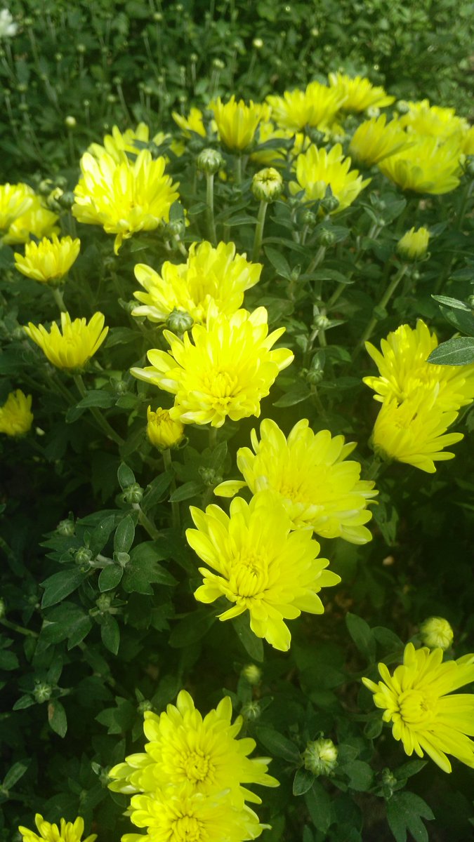 Have a great new week!!!