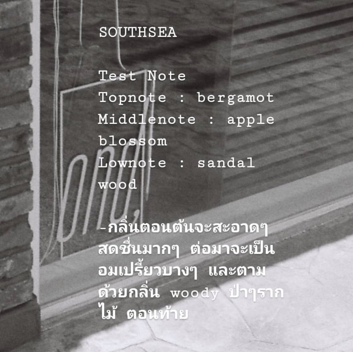 m 🦮シ tweet media