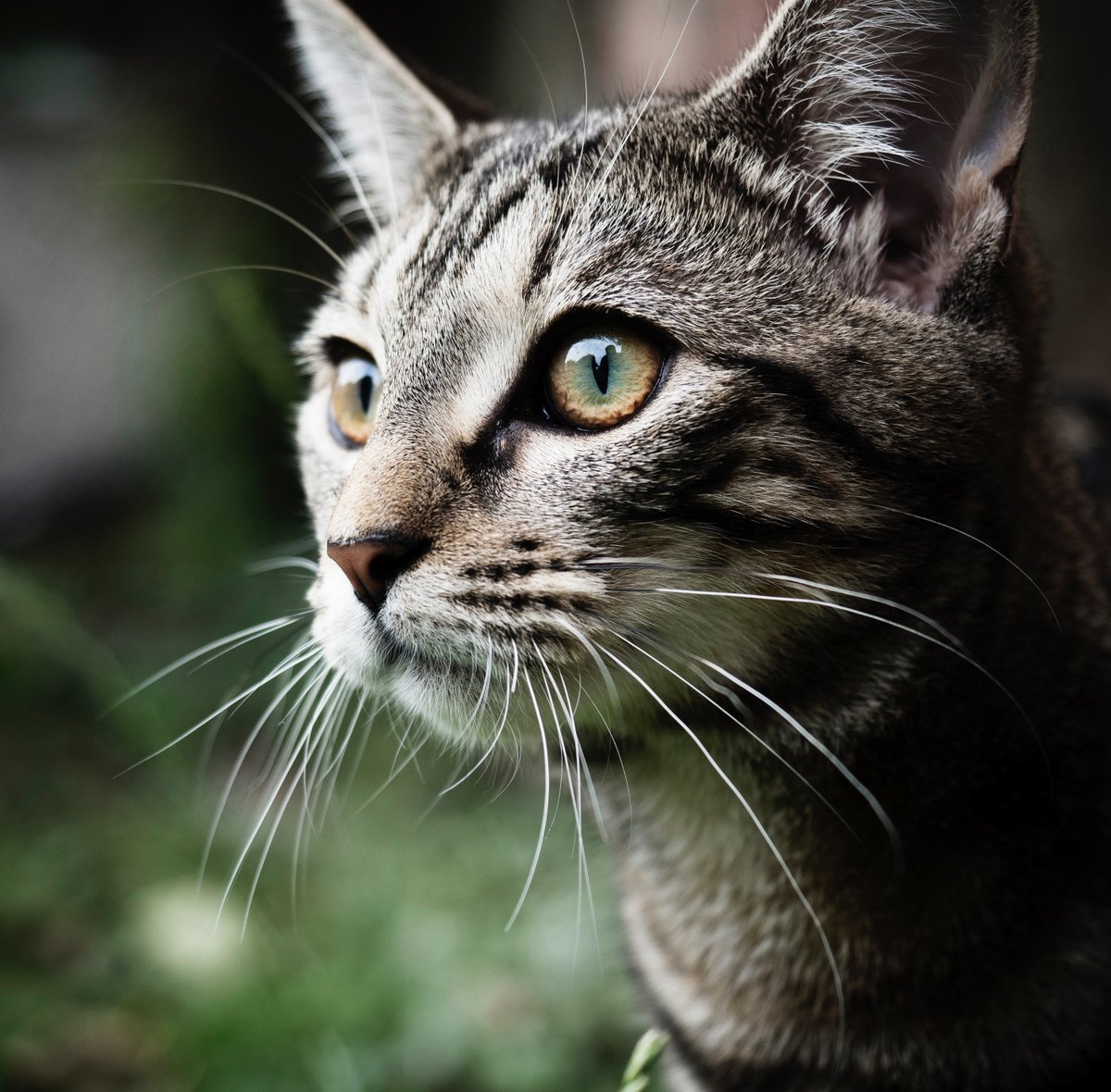 Williamcatlover's tweet photo. #Medvedev #Nadal #iEducate2019 #Kyler Murray #Franzen https://t.co/QW0sTy6BWM