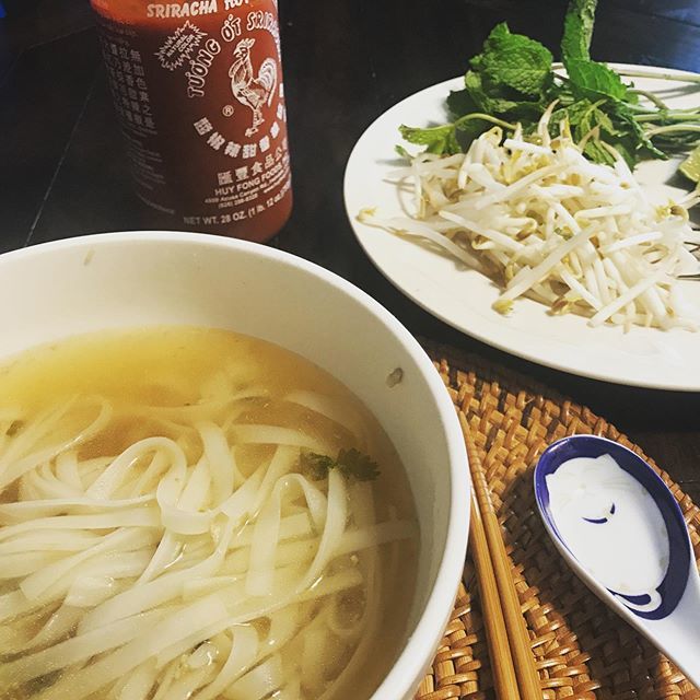 My first homemade phở. Veggie for me and gai/chicken for the missus. #pho ift.tt/34wkPcT
