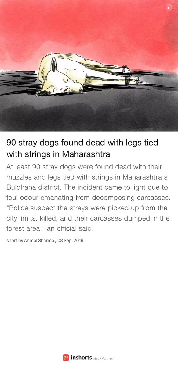 SumadhuTrust's tweet photo. This is definitely unacceptable. 90 stray dogs found dead with legs tied with strings in Maharashtra 
https://t.co/qT7mQgvuiH
-via inshorts https://t.co/afo5ac9YDt