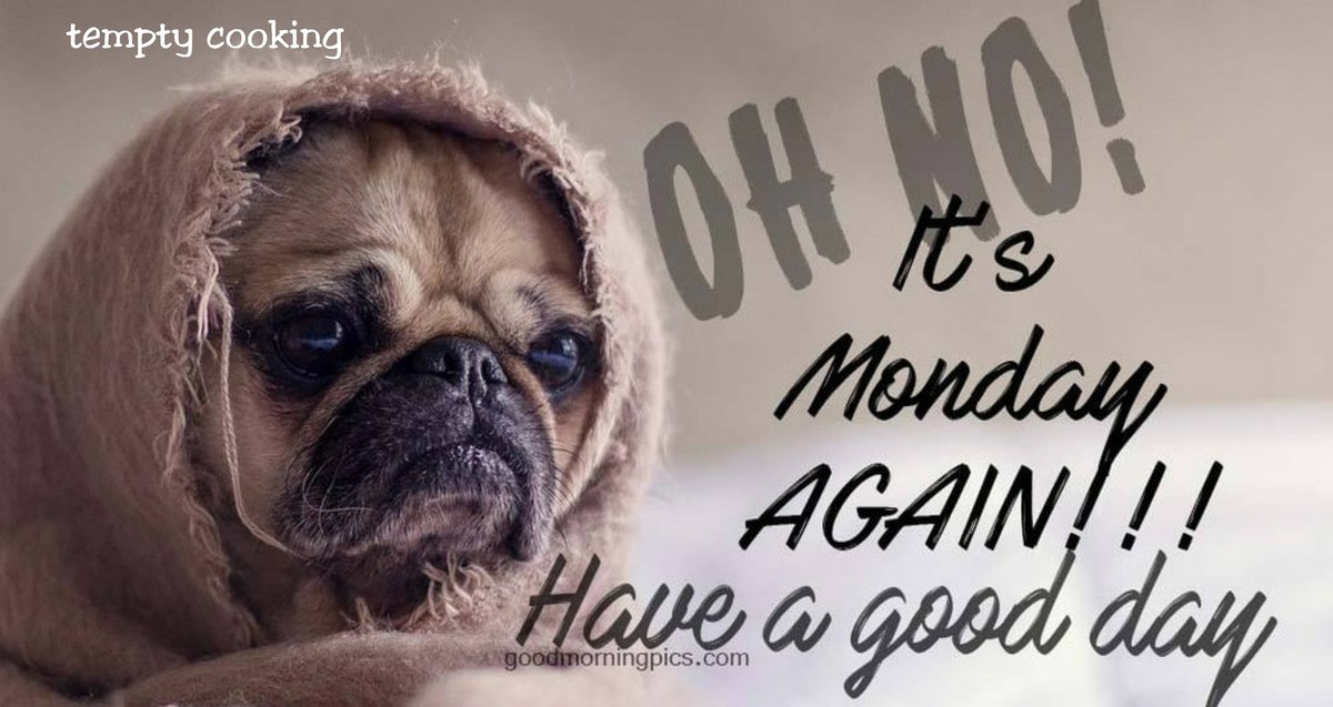 temptycooking's tweet image. The withering away of the darkness and the rising of the sun signifies the most important aspect of life – despair giving way for hope. ― Good Morning 
#mornings #morning #goodmorning #love #sunrise #breakfast #morningmotivation #like #coffee #work #happy #photography #beautiful