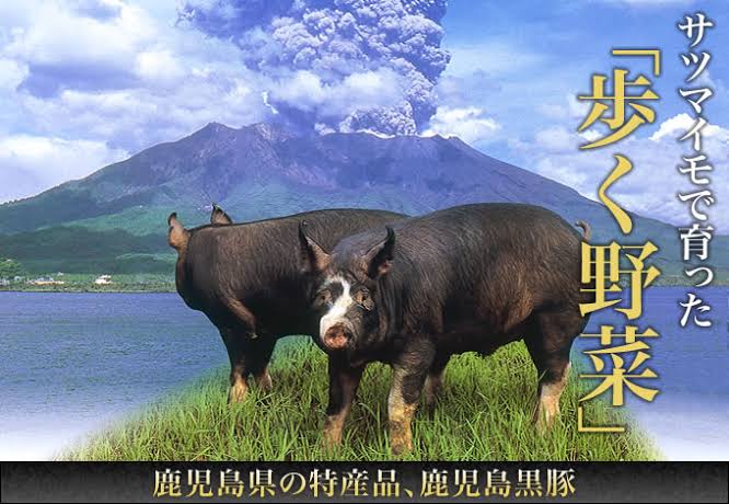400年の伝統を誇る 薩摩理論 によると鹿児島黒豚は 歩く野菜 との事 これにはヴィーガンもニッコリ パワーワードすぎる Togetter 400年の伝統を誇る 薩摩理論 によると鹿児島黒豚は 歩く野菜 との事 これにはヴィーガンもニッコリ パワーワードすぎる Togetter