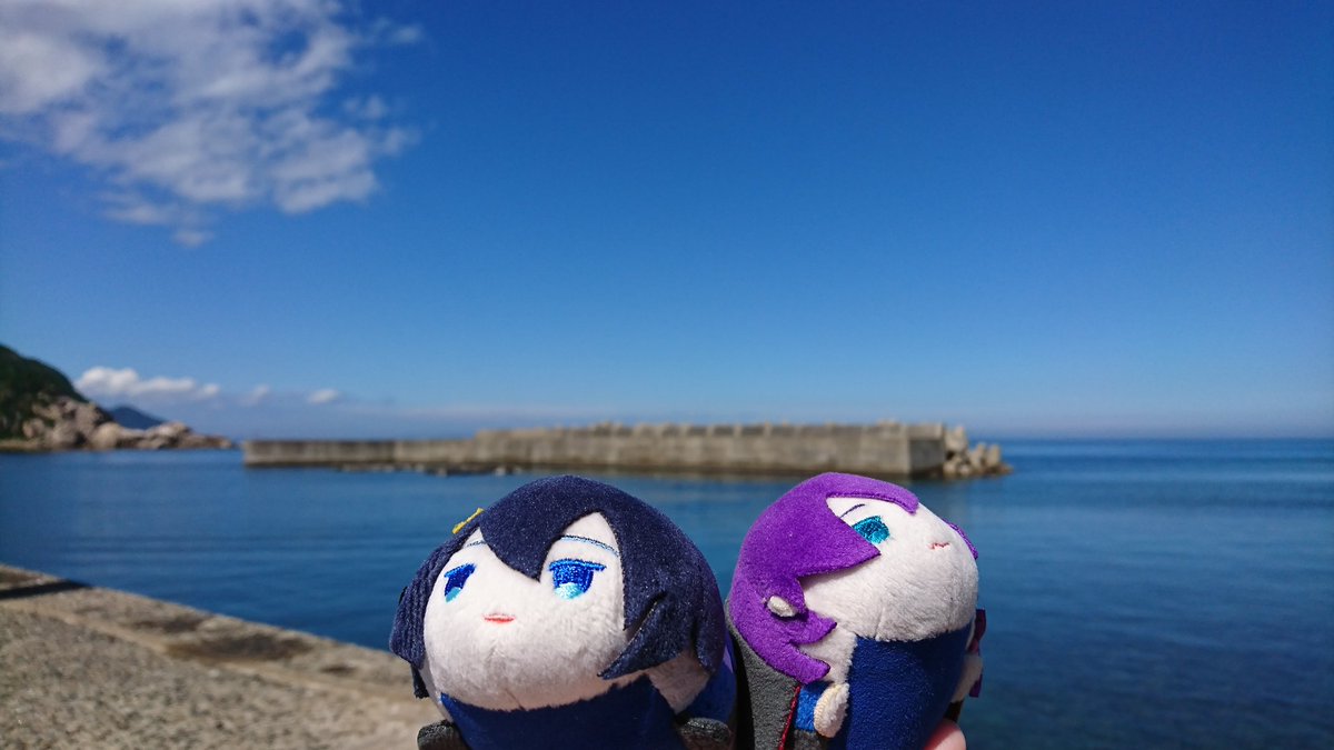 海 空 猫 三歌 みつよくん 