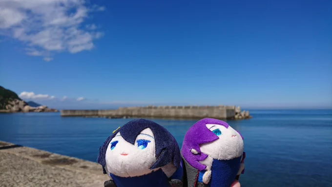 海 空 猫 三歌 みつよくん 