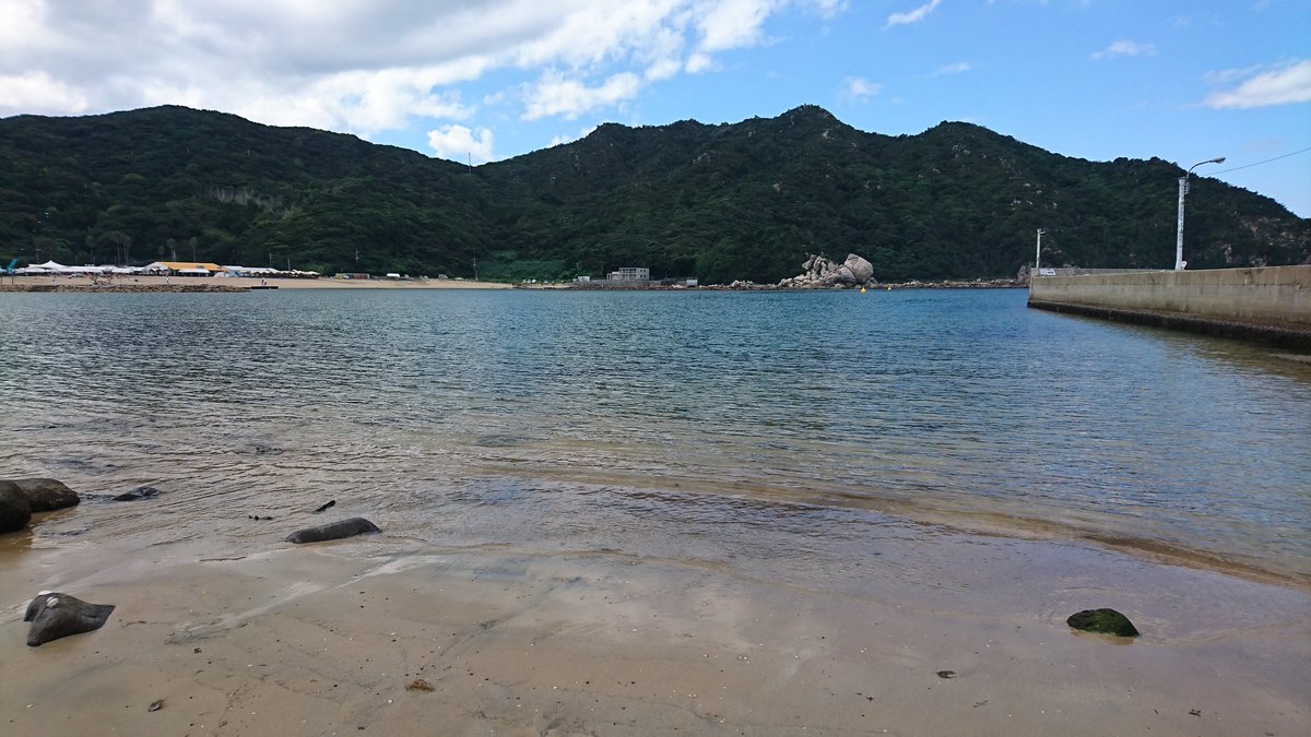 海 空 猫 三歌 みつよくん 