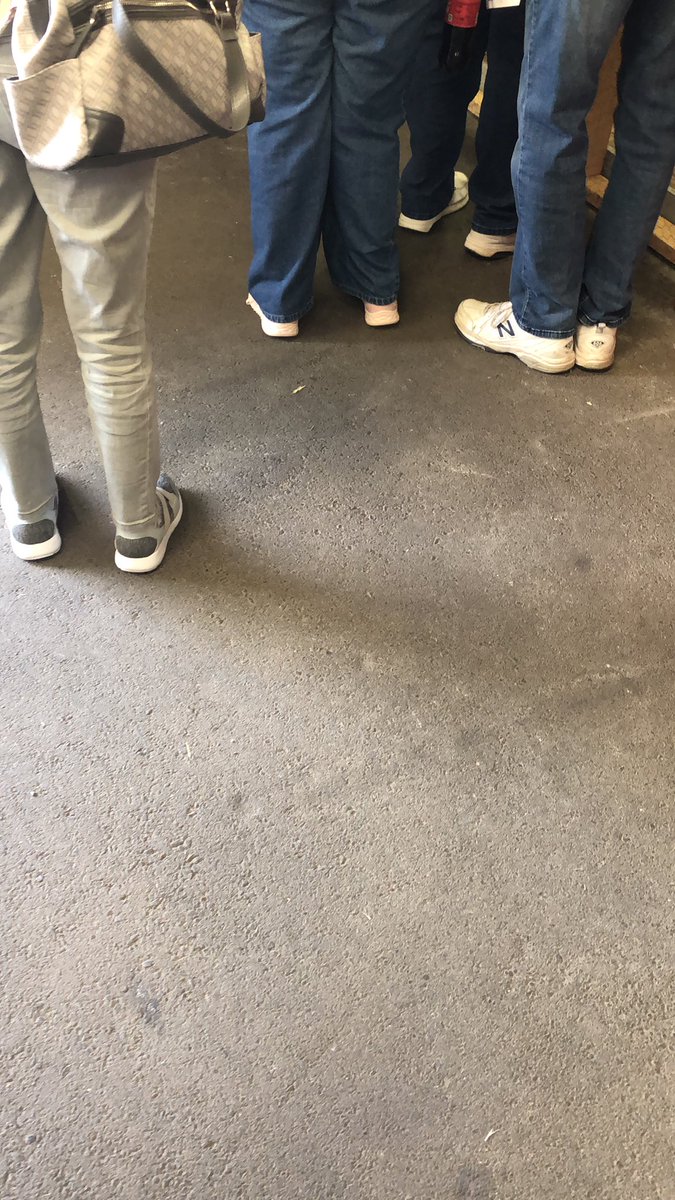 DadShoes2's tweet photo. #FairSZN #DadShoes #DadCalves https://t.co/itorNX70aj